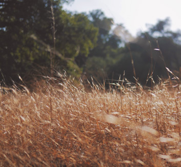 一名球员个人表现力破天际赢得关注