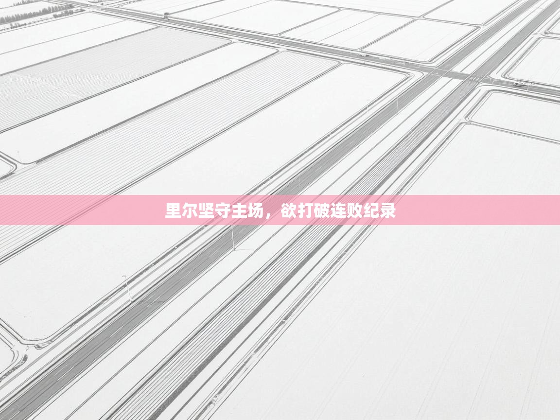 里尔坚守主场，欲打破连败纪录  第1张