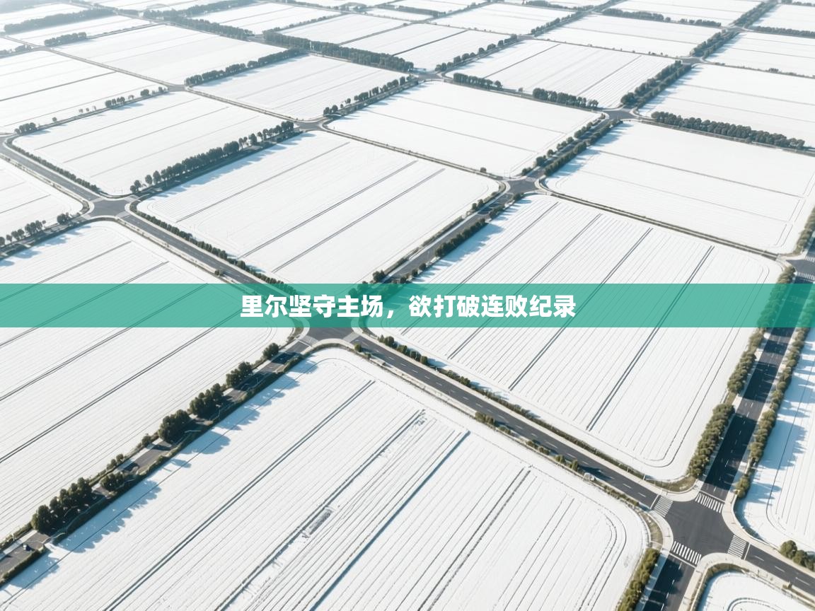 里尔坚守主场，欲打破连败纪录  第2张