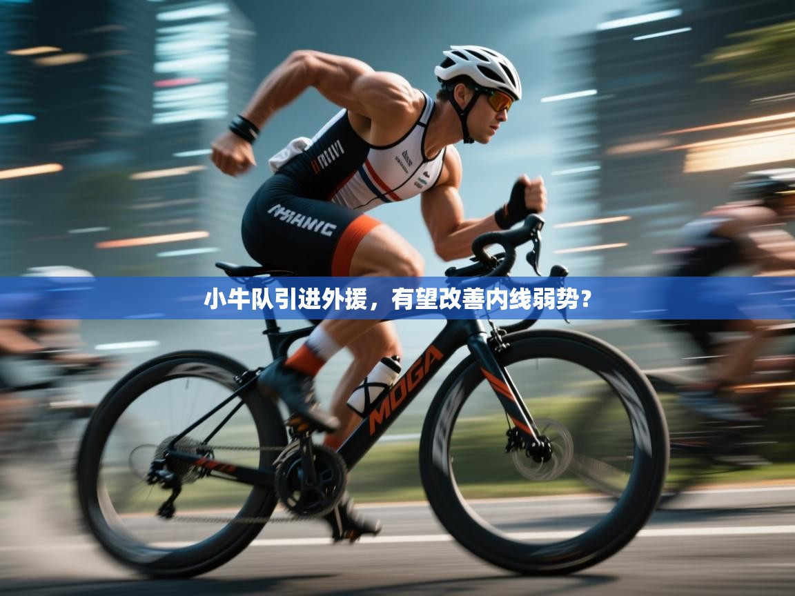 小牛队引进外援,有望改善内线弱势? 第2张