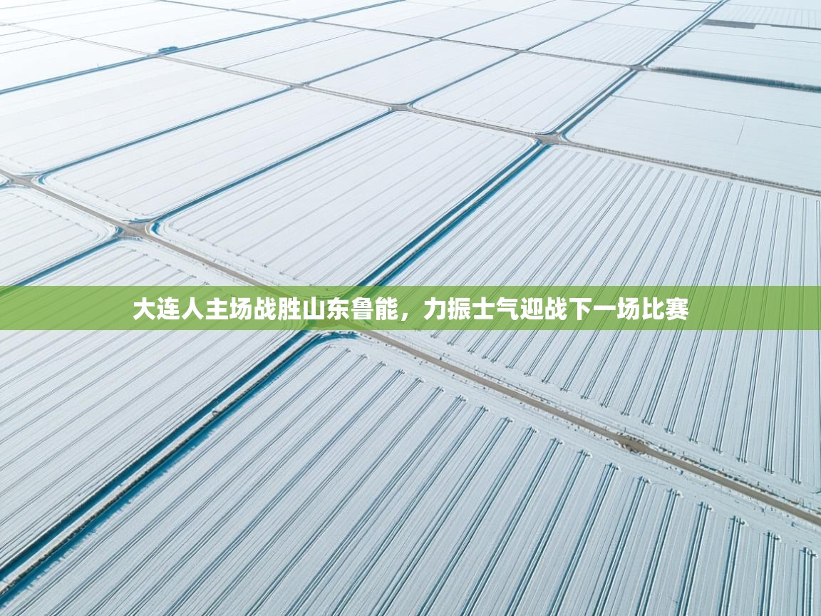 大连人主场战胜山东鲁能，力振士气迎战下一场比赛  第1张