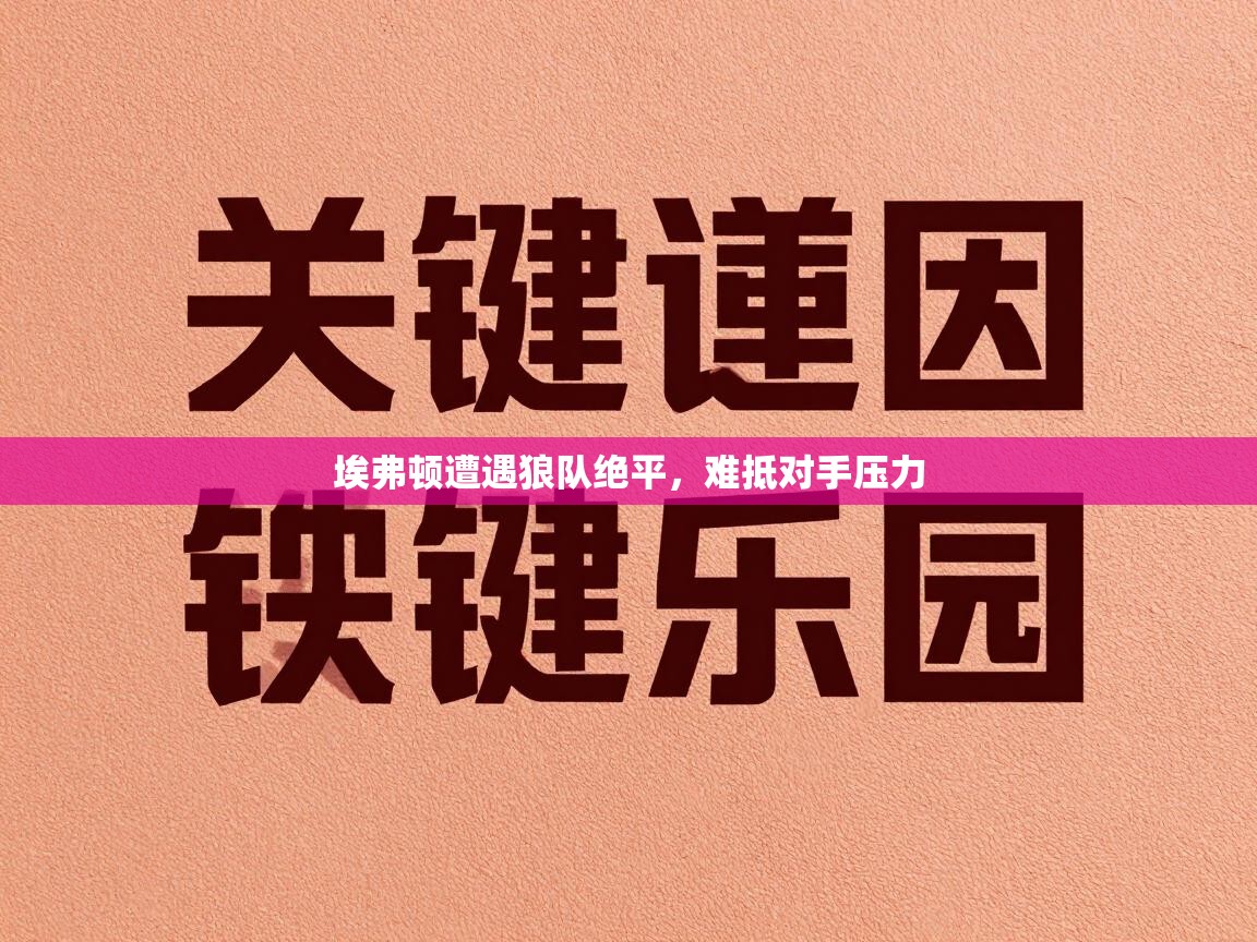 埃弗顿遭遇狼队绝平,难抵对手压力 第2张