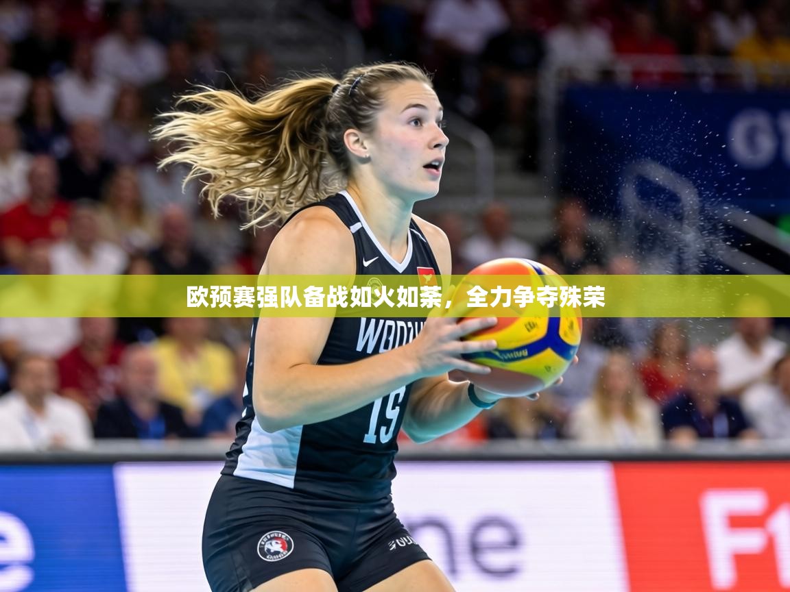 欧预赛强队备战如火如荼,全力争夺殊荣 第2张